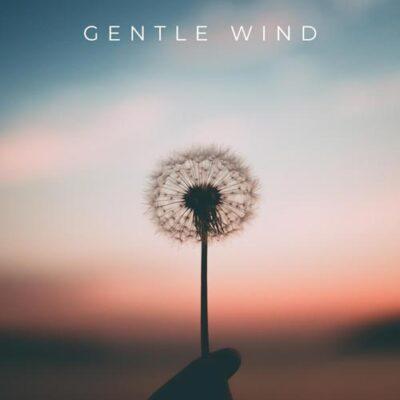 Gentle Wind
